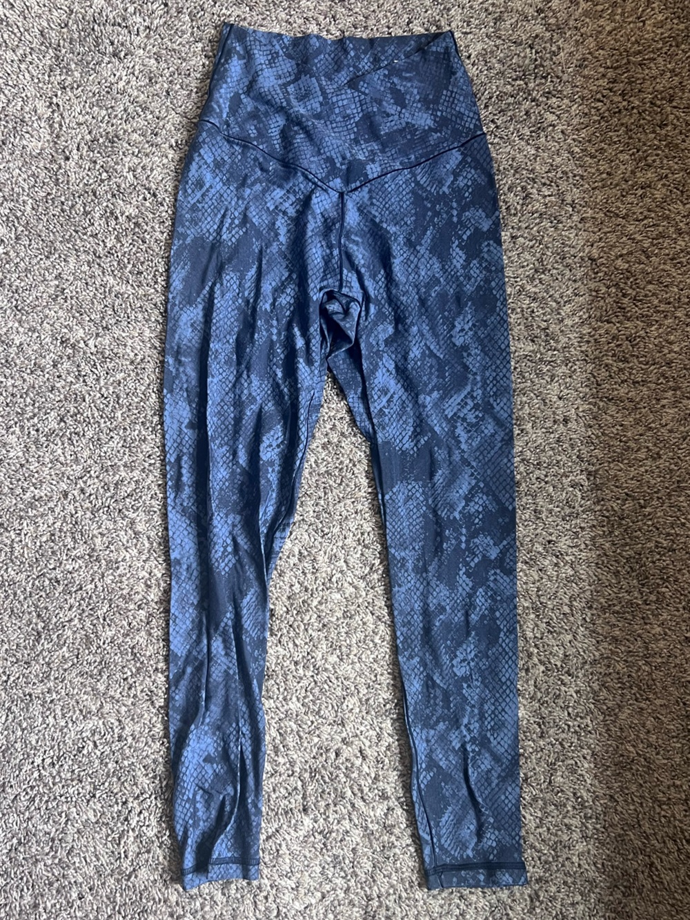 aerie Blue Snake-Print Leggings